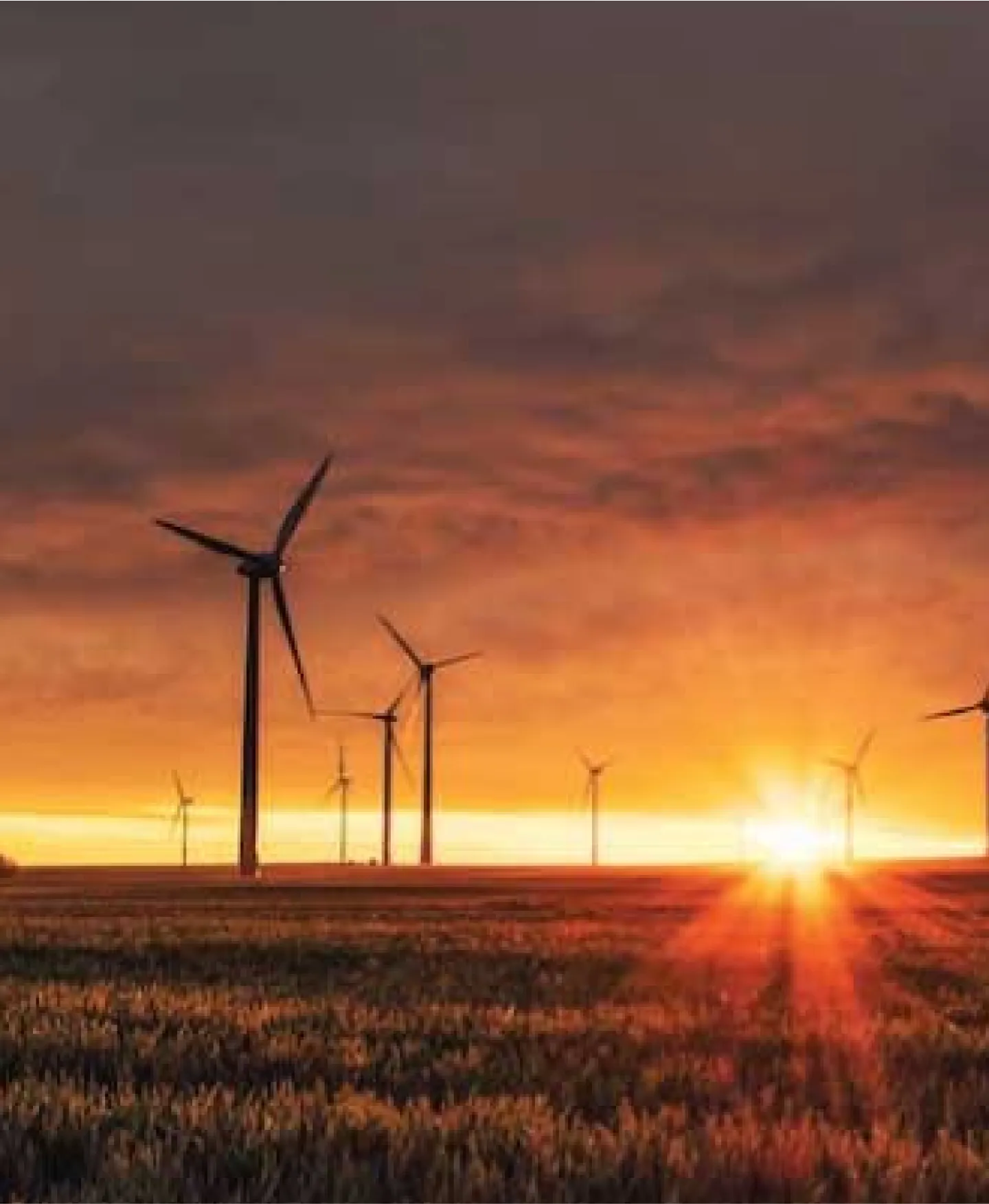 Renewable Energy