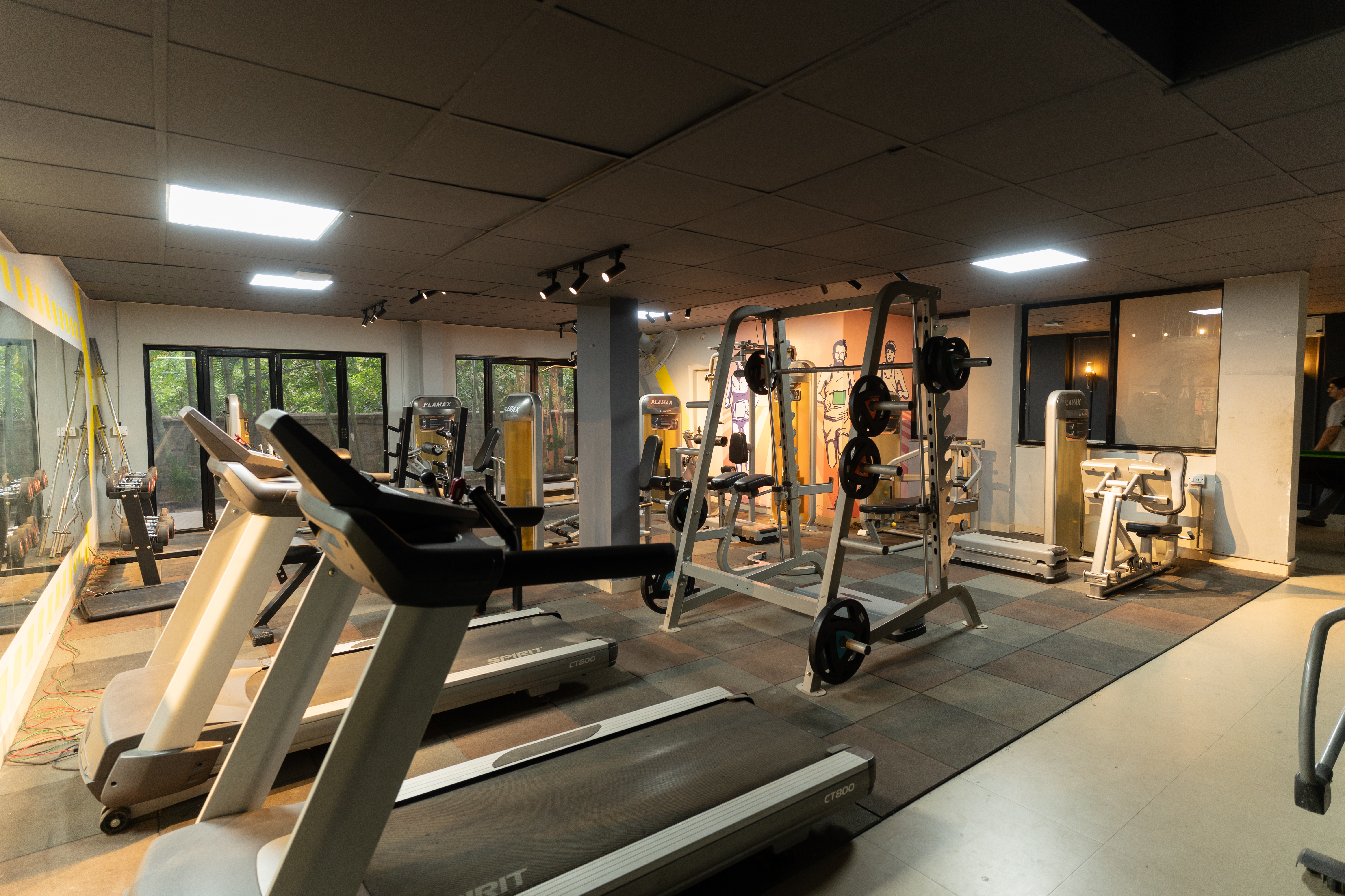 Gymnasium